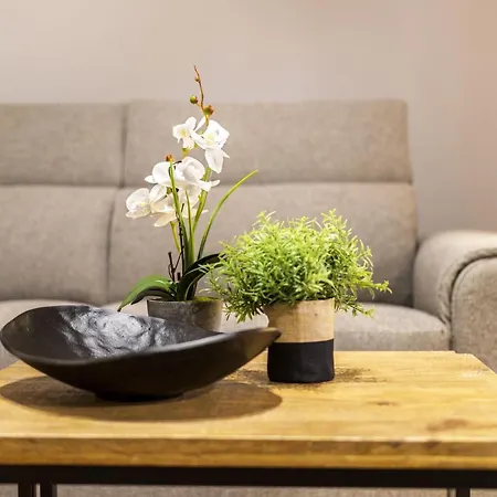 Alloro Apartment 9-2